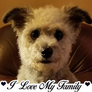 Meet your Posher, Renee